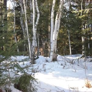 Meet your Posher, Bryan